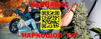 гашик Бийск