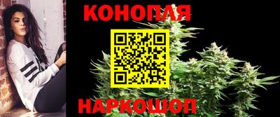гашик Бийск