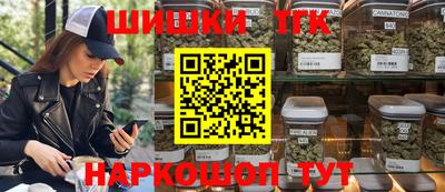 гашик Бийск