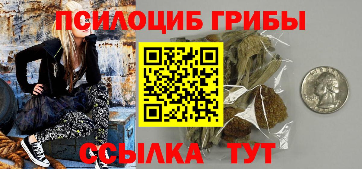 купить наркотики сайты  Галлюциногенные грибы MAGIC MUSHROOMS  Вход с VPN  Псилоцибиновые грибы Magic Shrooms  Зерноград 
